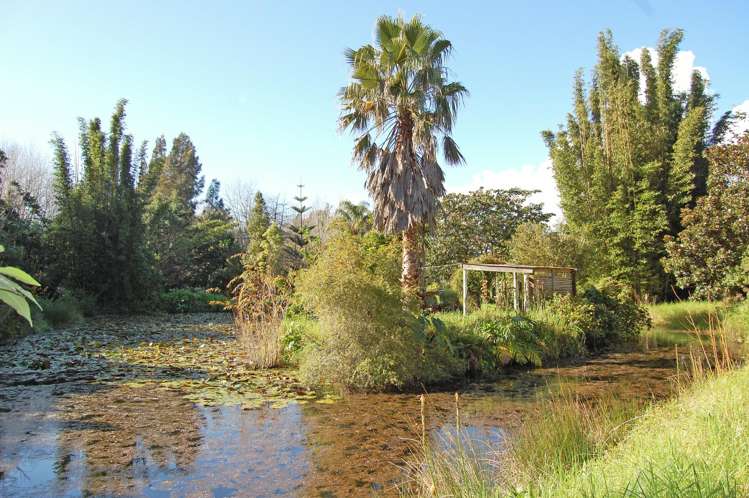 364 Oneriri Road Kaiwaka_10