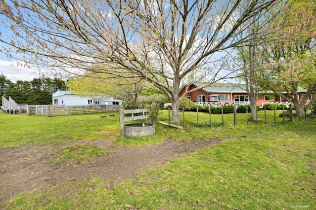 90 Wiroa Road Kerikeri_2