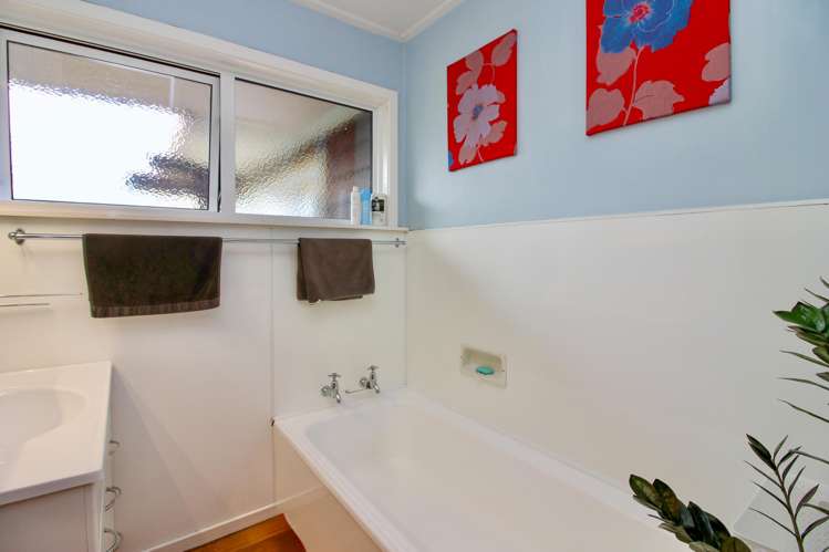 290 Douglas Avenue Te Awamutu_11