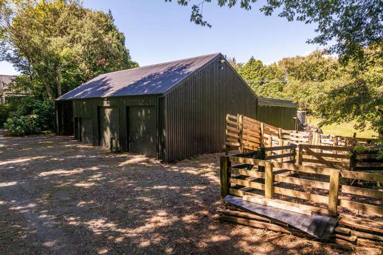 Lot 1/72 Belk Road South Omanawa_22