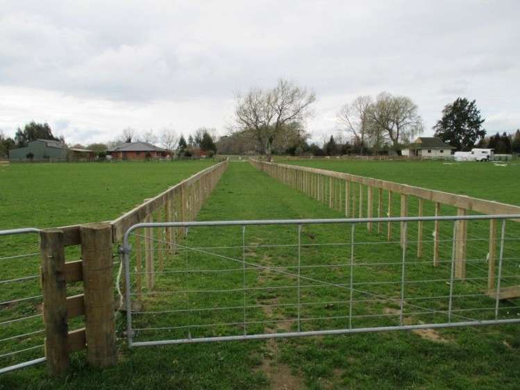 296a Pickering Road Tamahere_4