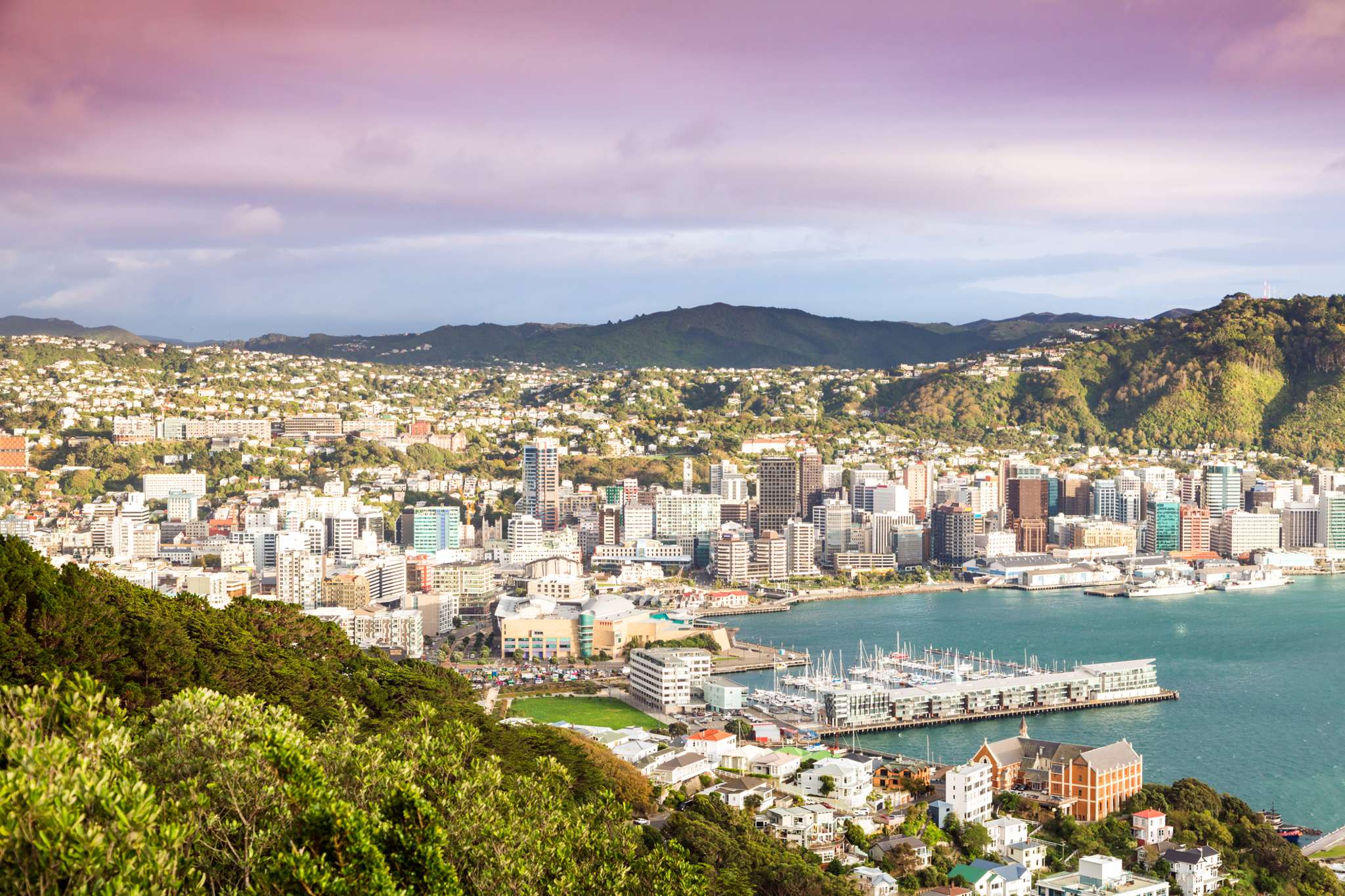 What does $1m buy you in Wellington, the world's third hottest housing market?