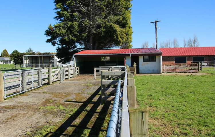 379 Bainfield Road Waihopai_16