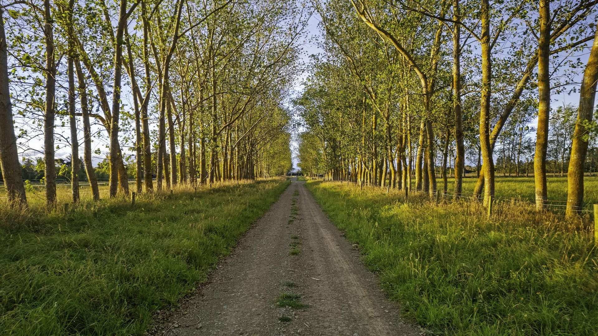 172 Stockdills Road Amberley_0