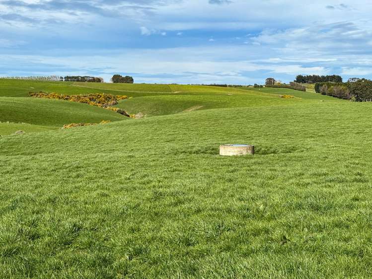 1532 Wyndham Letterbox Road Mataura Island_18