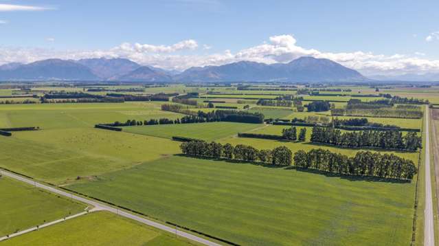 Dairy Support and Development Opportunity