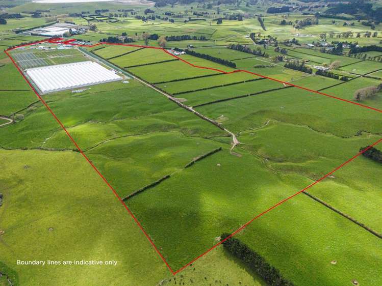 232 and 226 Trig Road South Waihi_29