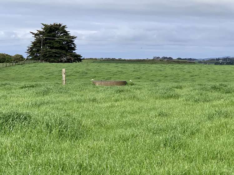 267 Waitara Road Waitara_5