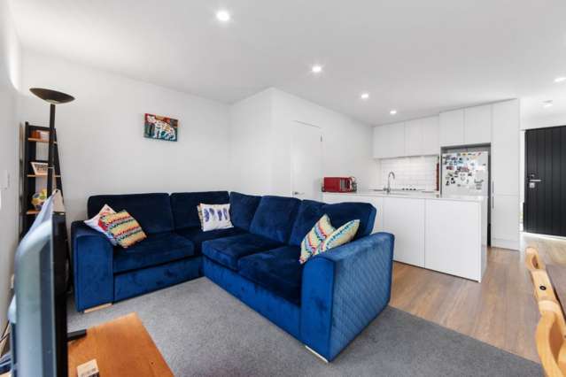 27B Sumner Street Spreydon_2