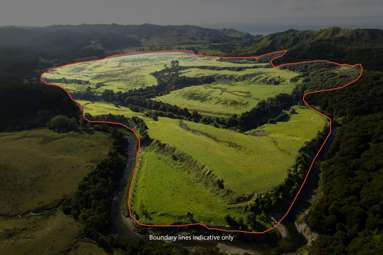 Waihua Valley_1