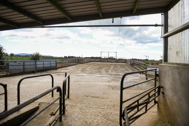 139 Waituti Road and 267 Port Molyneux Road Kaka Point_4