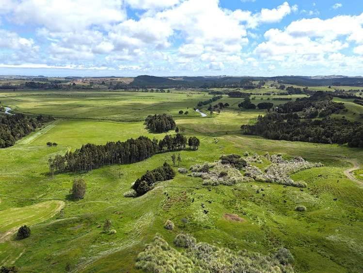 497 Opanake Road Dargaville_3