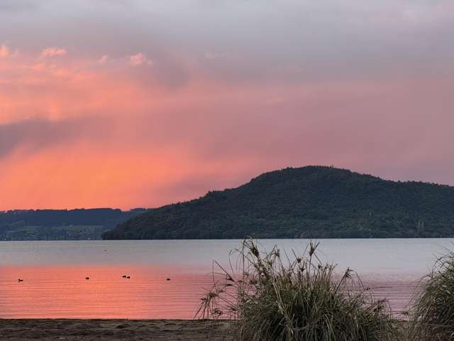 10A Cooper Avenue Holdens Bay_4