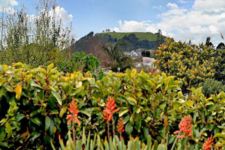 31 Peary Road Mount Eden_14