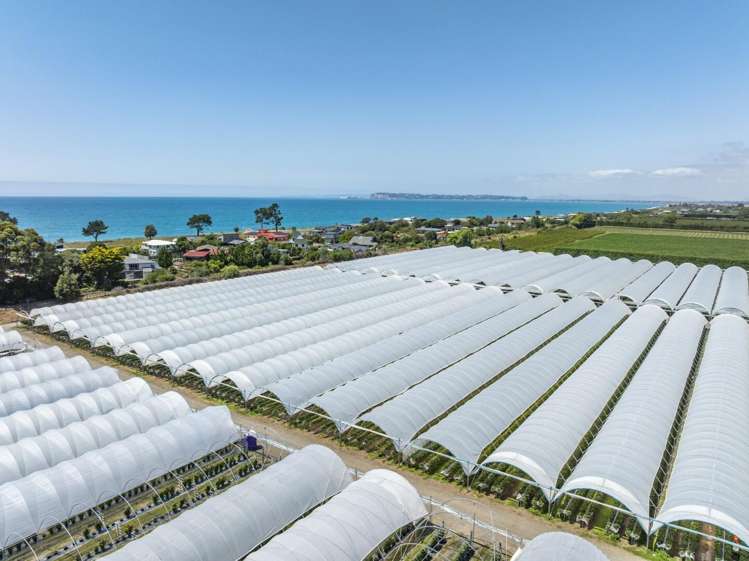 Thurley Place Bay View_2