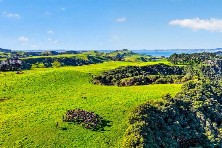 Lot 2/DP 320978 South Head Road Helensville_14