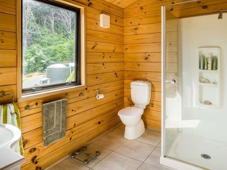 39c Jones Deviation Pauatahanui_14