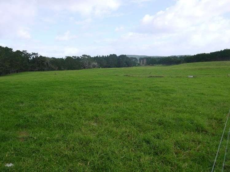 64 Otara Point Road Te Kopuru_8