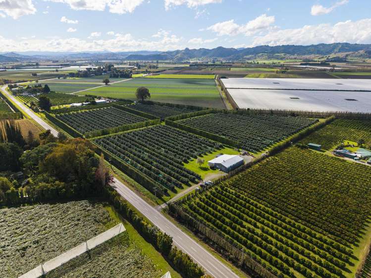 590 Matawai Road Waerengaahika_4