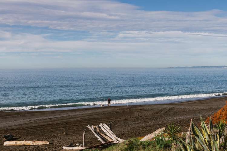 247 Whirinaki Road Bay View_32