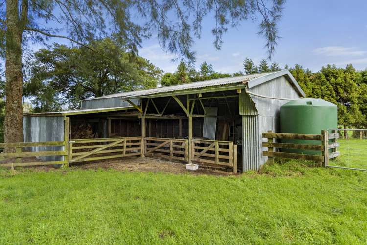 1128a Omanawa Road Kaimai_10