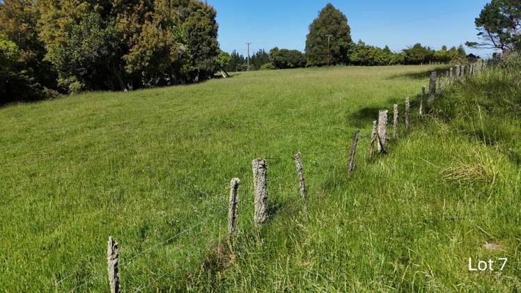 Lot 3 and 7/1005 Rangitatau East Road Kai Iwi_14