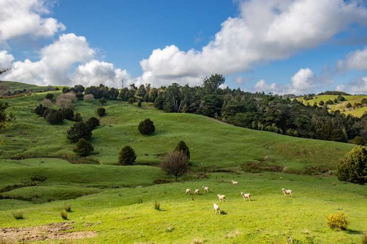 164 Arcadia Road Paparoa_19