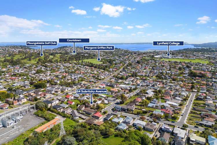 24 Subritzky Avenue Mount Roskill_28