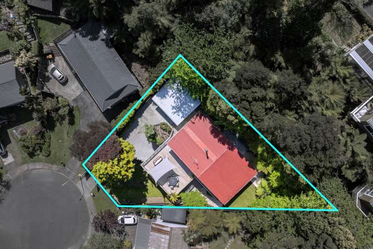 24 Scotstoun Place Glen Eden_24