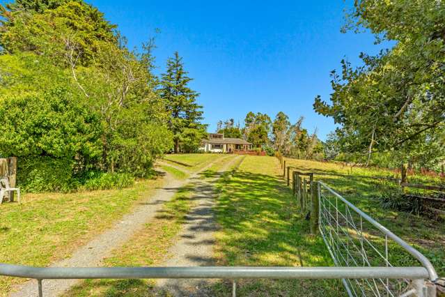 253 Fitzgerald Road Drury_4