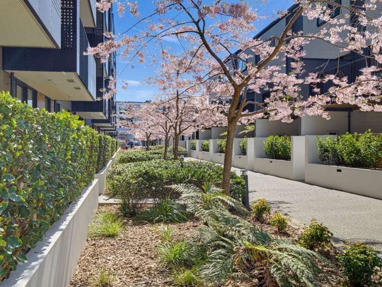 107/36C Welles Street City Centre_16