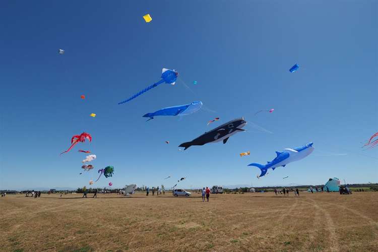 12 Kennedy Quay Huntingdon_9