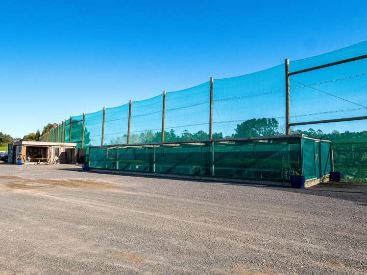 299b Whakamarama Road Whakamarama_16