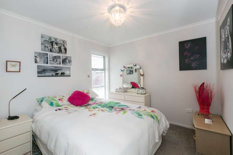 19 Percy Berry Place Havelock North_12