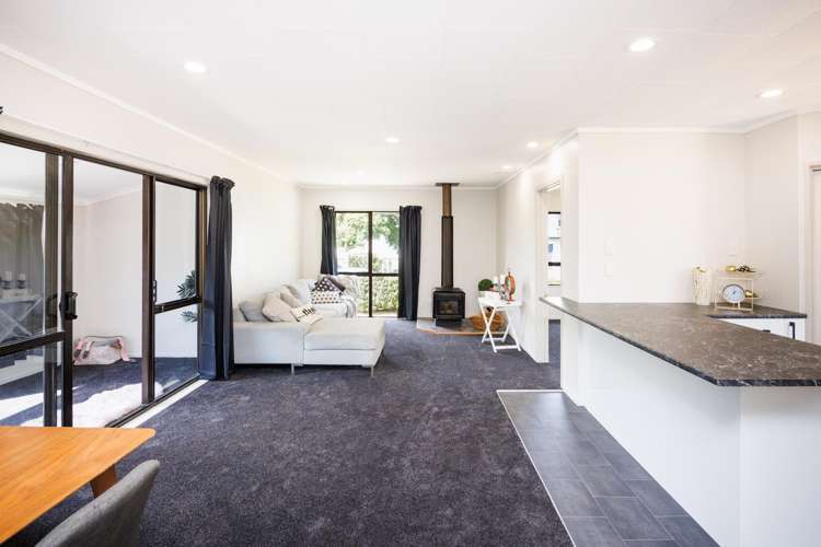 4 Ngarimu Street Roslyn_19