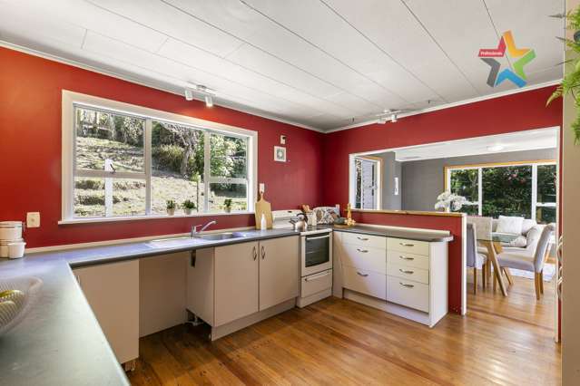 15 Hauraki Street Karori_4