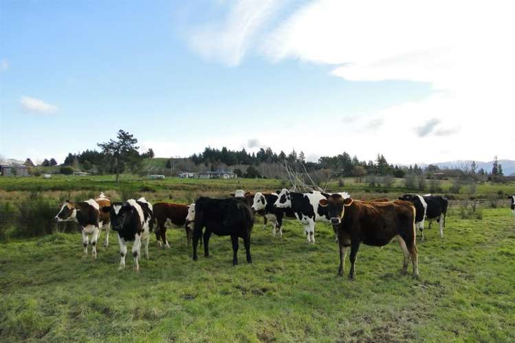 69 Best Road Upper Moutere_19