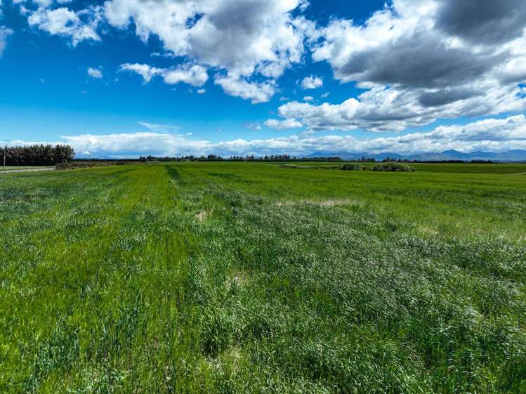 400 Mandeville Kingston Crossing Road Nine Mile_5