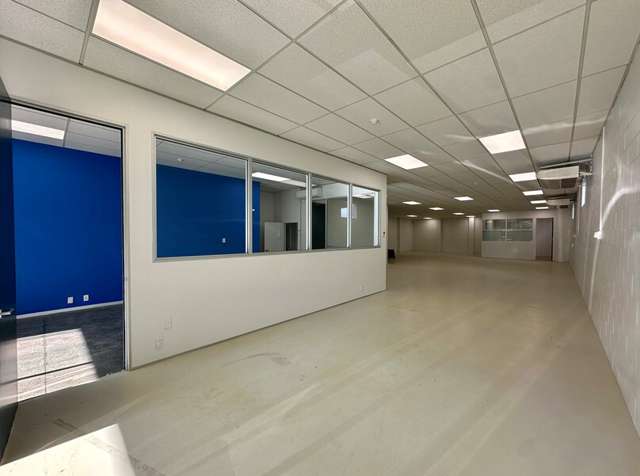 4 Minnie Street Eden Terrace_2
