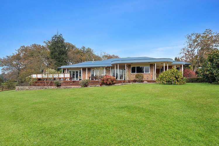 81D Horrell Road Morrinsville_3