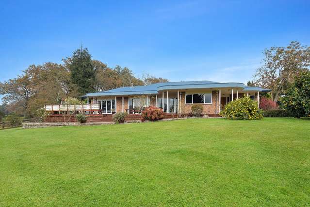 81D Horrell Road Morrinsville_3