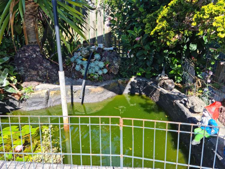 1938 Paparoa Valley Road Paparoa_30