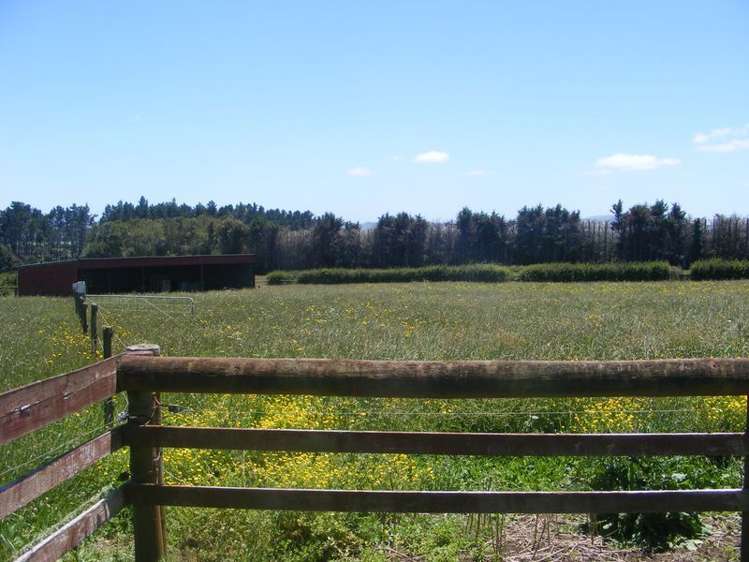 514 Mercer Ferry Road Pukekawa_5