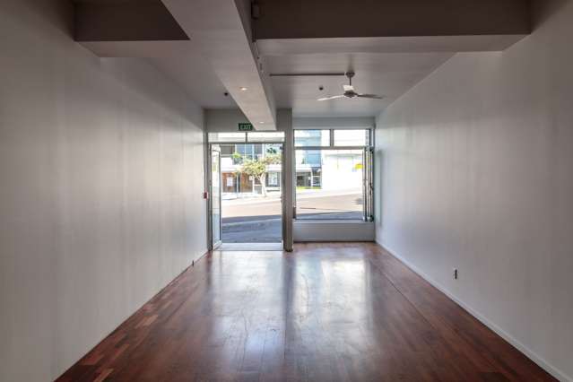 25 College Hill Freemans Bay_2