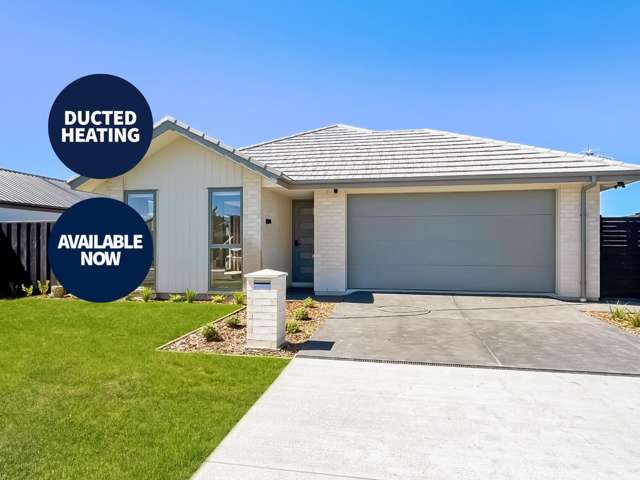 Spacious brand new 5 Bedroom Ravenswood Home!