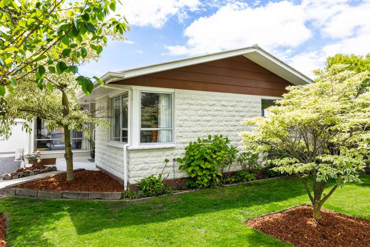 5 Owen Place Springlands_24