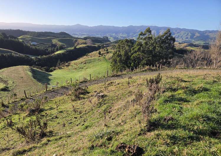 515 Zigzag Road Ashhurst_12
