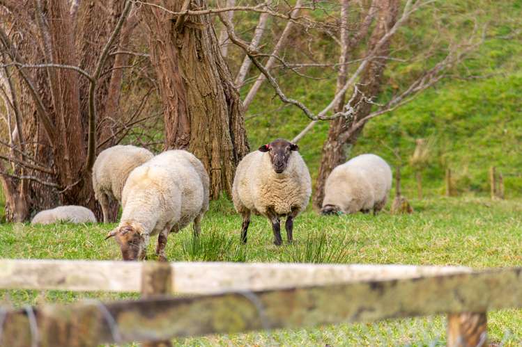 242 West Road Mauriceville_24