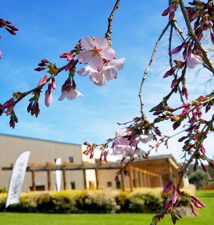 Address withheld Waitakere_14