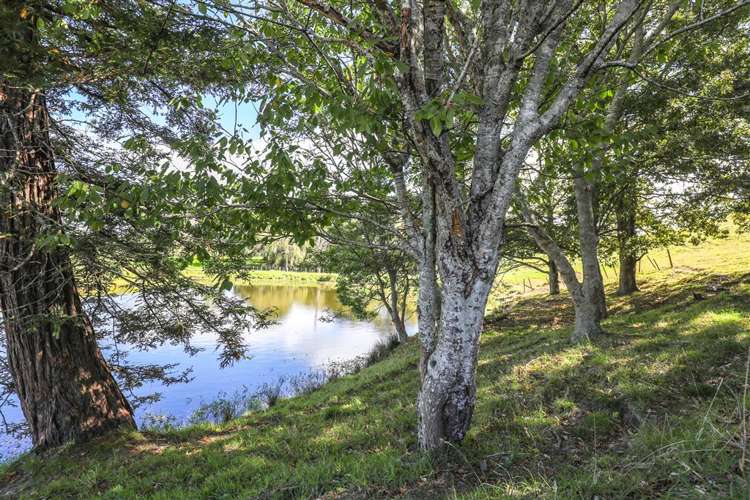 171 Herbert Road Rotongaro_22